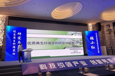 银河官方入口(中国)最新官网入口高技能人才张小红在第一届浙江省（龙游）纸基新材料产业创新发展大会作分享