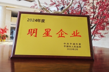 新春新景新气象 | 银河官方入口(中国)最新官网入口在平湖三干大会上喜摘荣誉！
