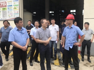 On August 5, 2020, Xiong Zhongcai, then deputy director of the National Water Conservation Office of the Ministry of Water Resources of the People's Republic of China, visited Jingxing Paper Industry to investigate the company's water and water conservati